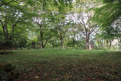 松尾城 城址風景