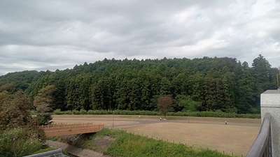 見川城　遠景