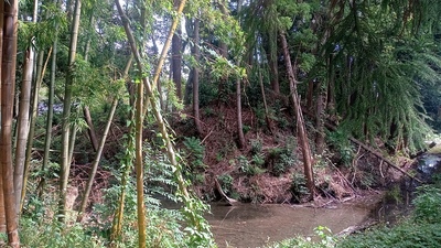 八坂神社東側の土塁と水堀