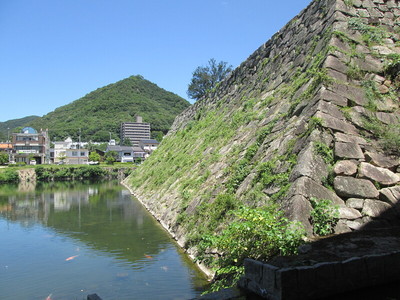 天守台石垣(西側)と備後桜山城