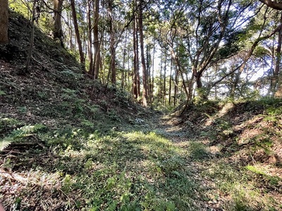 本郭奥の横堀と土塁