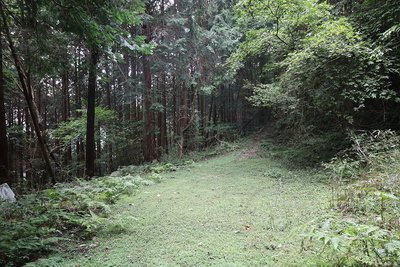 北城本丸下の曲輪