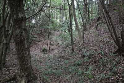 南城本丸下の横堀