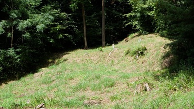 城主居館跡を駆け上がる野生の猿