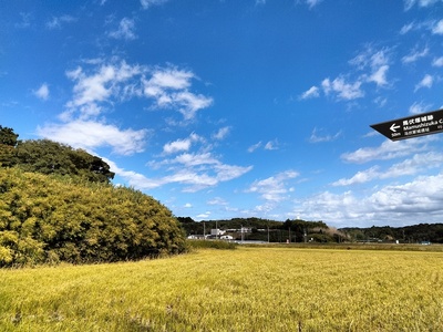 城址遠景