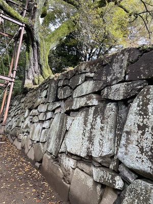 西櫓台石垣