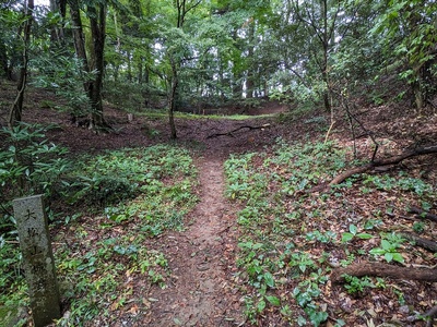 大松山城跡(中世の砦跡)