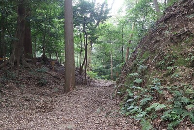 主郭西側の空堀