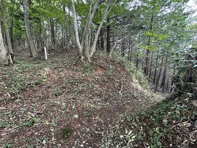 寺山縄張りの虎口