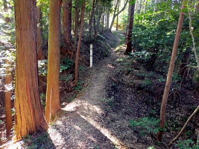 土橋と堀切