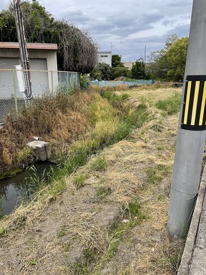 堀址の水路