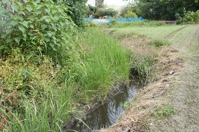 水路(堀跡)