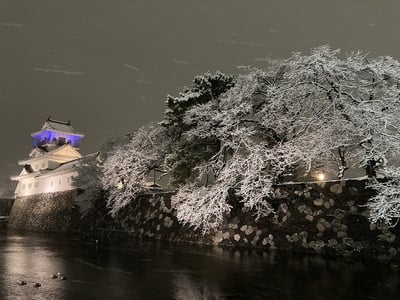 真冬の夜の富山城