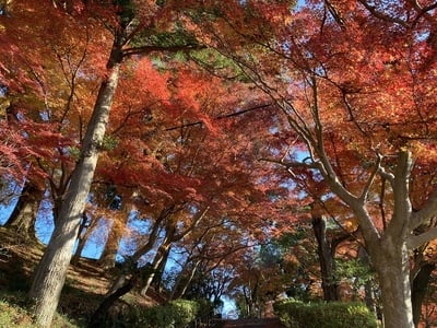 秋の古城