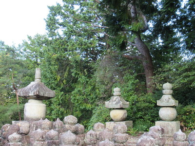 石塔寺・宝塔と五輪塔（重文）