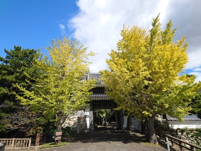 桜門前の紅葉