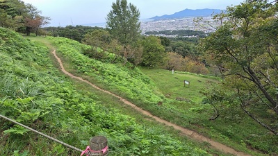 本丸直下から見る帯郭と二の丸