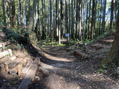 土橋の先、マッスル虎口