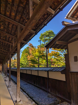 高山陣屋　御蔵と紅葉