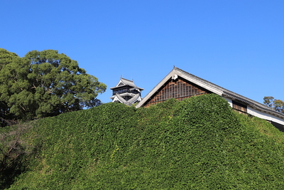 石垣と大天守