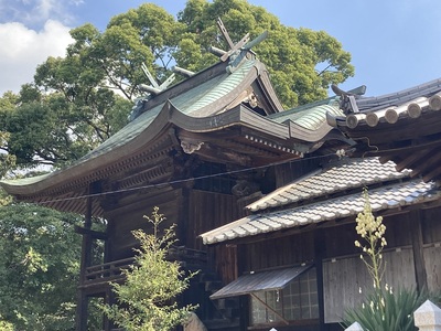 泊神社