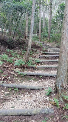 登城道の一般的なイメージ