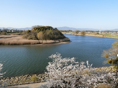 城址から見下ろす 美しき豊川