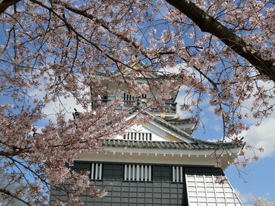 桜の衣を纏う天守閣