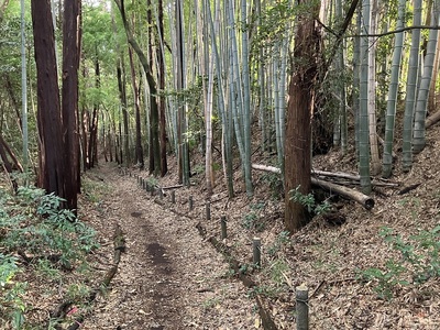 土塁と堀底道