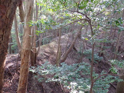 絶叫！土橋側面