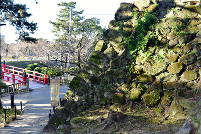 月見櫓石垣と神橋