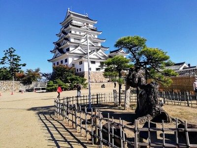 八方よしの松