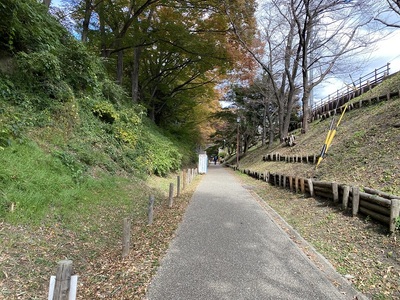 二の丸堀と二の丸橋