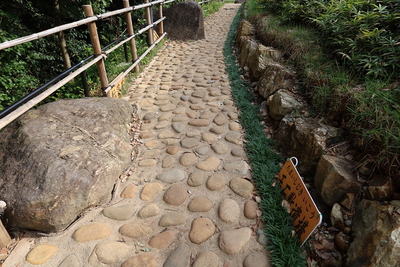 玉石敷遺構と転落石