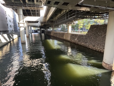 一ツ橋門跡(堀)