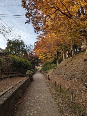 二の丸堀跡