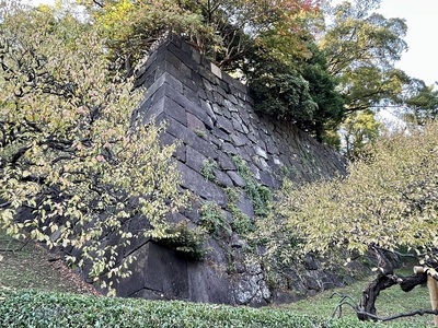 梅林坂の石垣