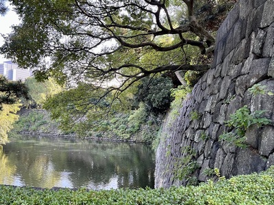 天神濠と石垣(梅林坂手前から)