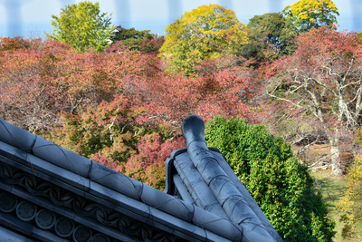 秋の彦根城　天守閣からの風景