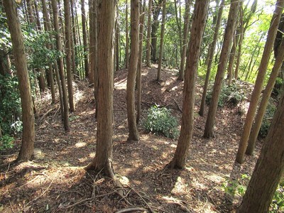 雌嶽内部（南端）