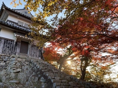 紅い山城