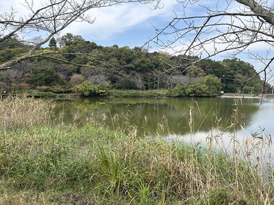 城池越しに見る龍城山