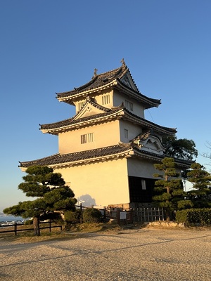 西陽を浴びる天守