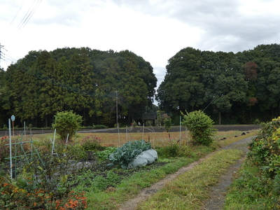 山門と城跡