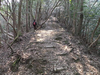 登山道の連続小曲輪群