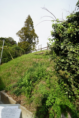 亥鼻台公園下の崖線