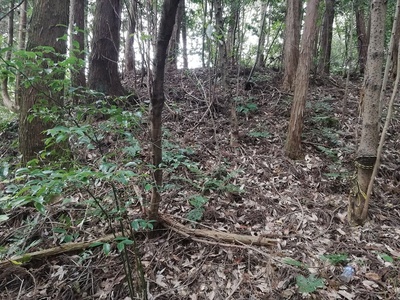 高岡城土塁