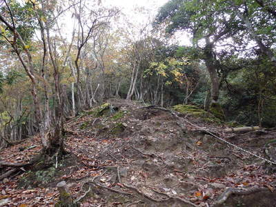 登城道