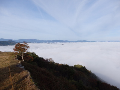 主郭石垣と雲海