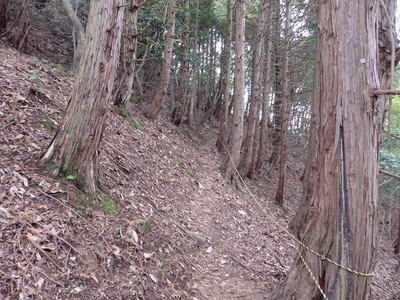 石取場へ入る道